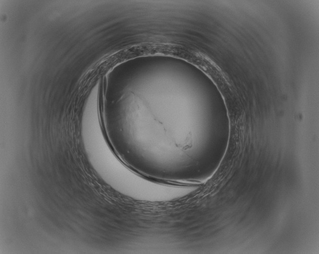 X0000083620919200702121136