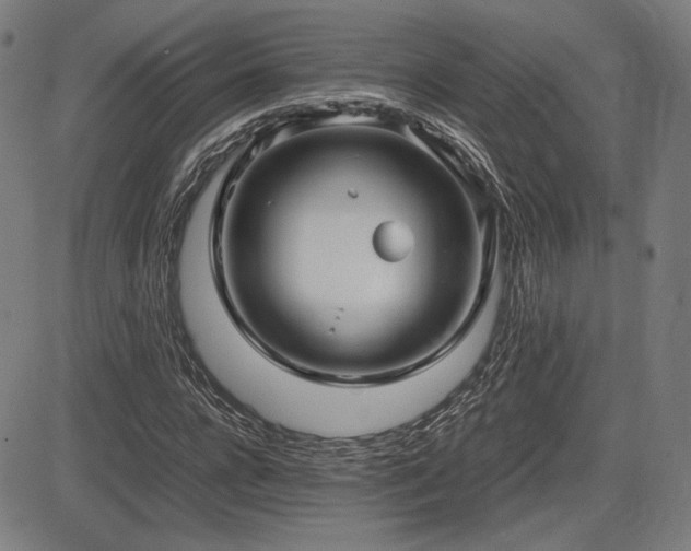 X0000083620920200702121136