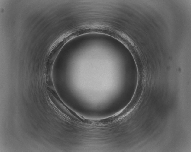 X0000083620922200702121136