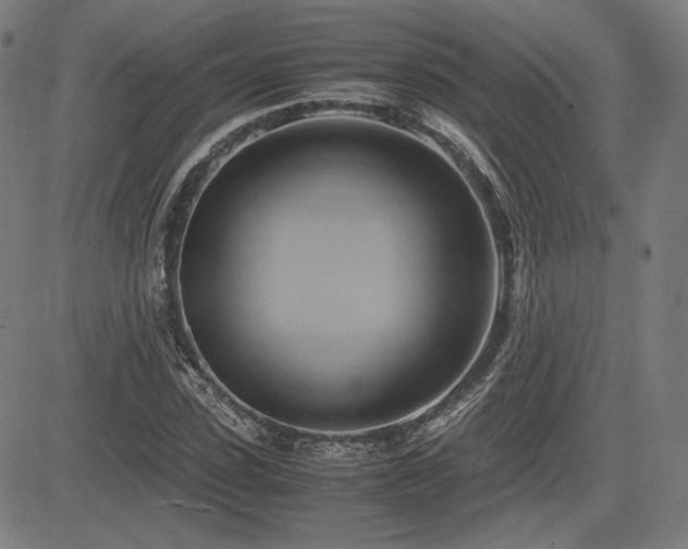 X0000083620923200702121136