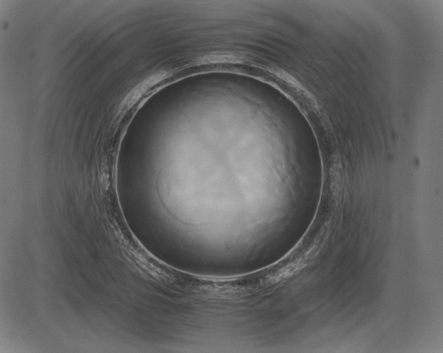 X0000083620929200702121137