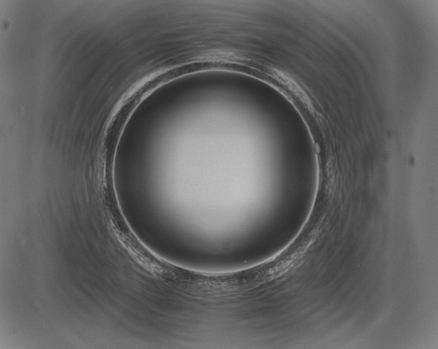 X0000083620931200702121137