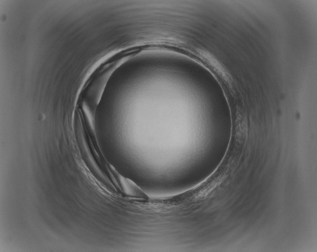 X0000083620932200702121137