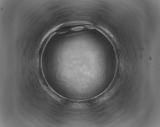 X0000083620933200702121137
