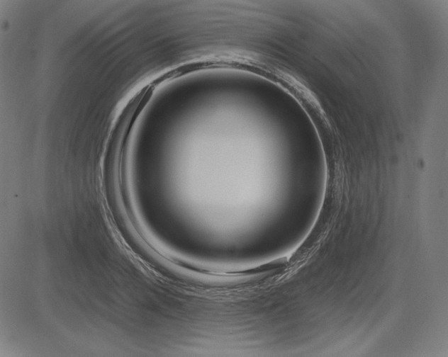X0000083620936200702121137