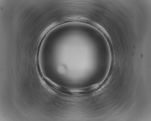 X0000083620946200702121137