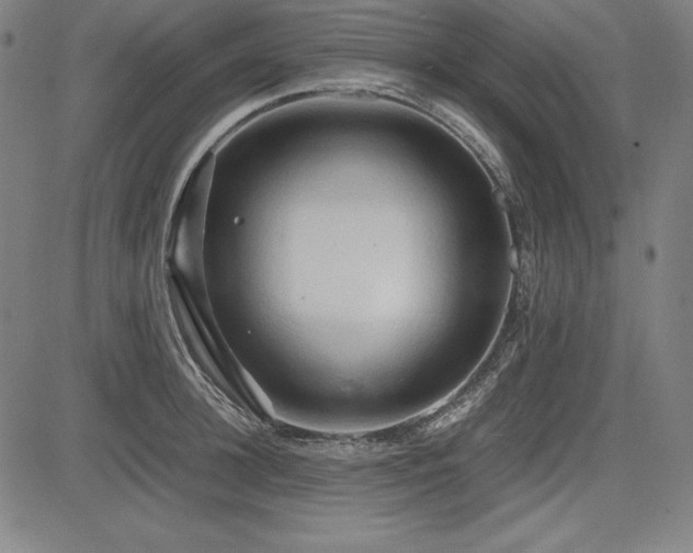 X0000083620948200702121137