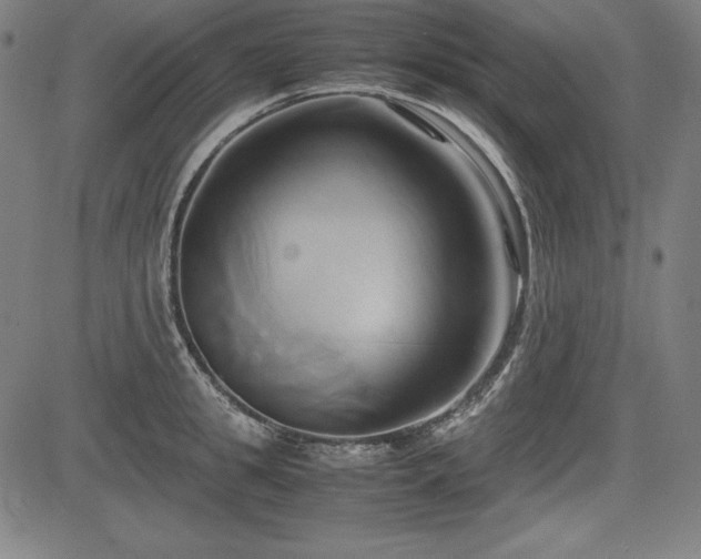 X0000083620949200702121137