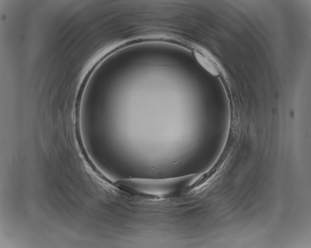 X0000083620951200702121137