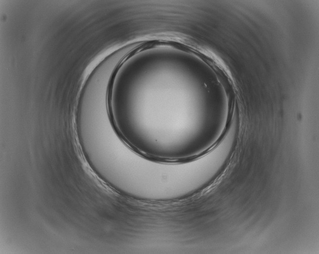 X0000083620952200702121137