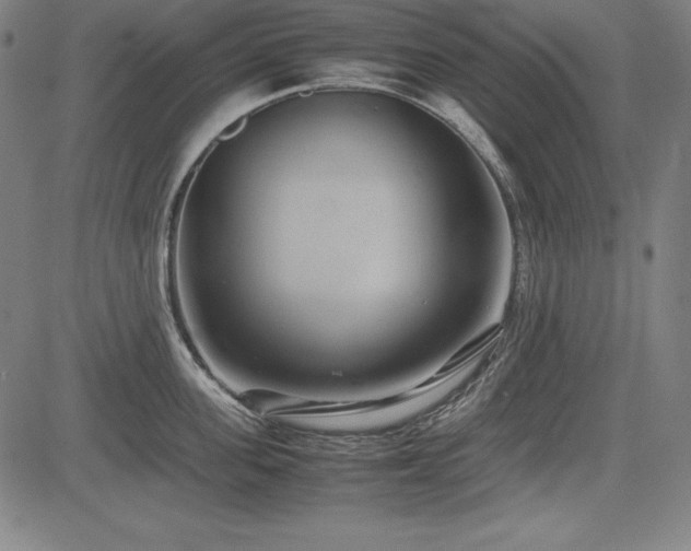 X0000083620955200702121137