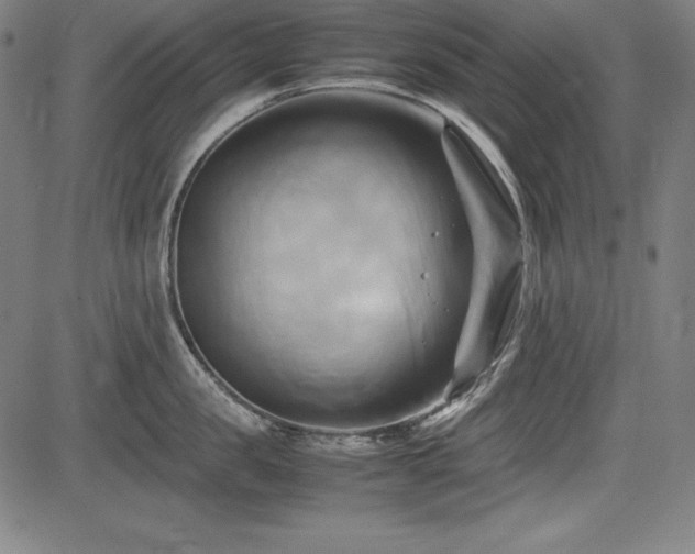 X0000083620957200702121137