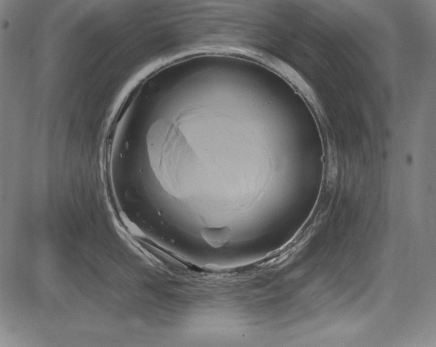 X0000083620958200702121137