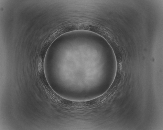 X0000083620963200702121136