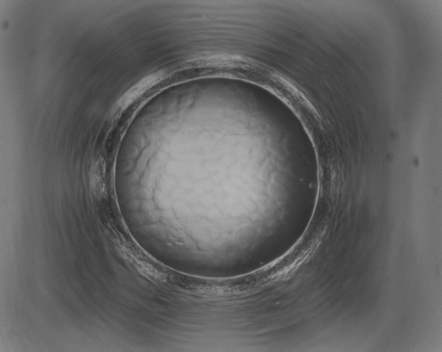 X0000083620970200702121136