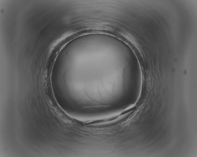 X0000083620971200702121136