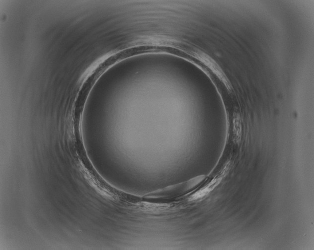 X0000083620972200702121136