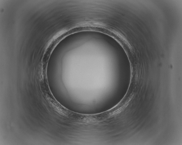 X0000083620974200702121136