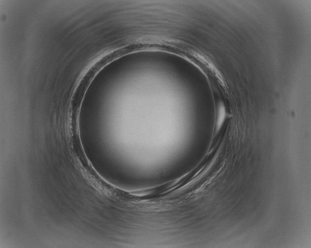 X0000083620976200702121136