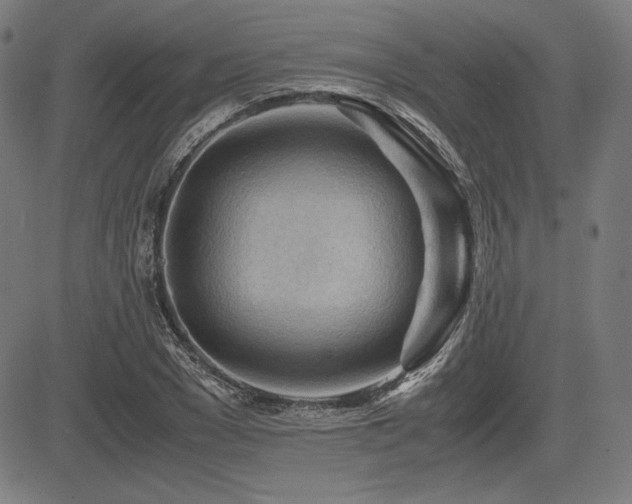 X0000083620977200702121136