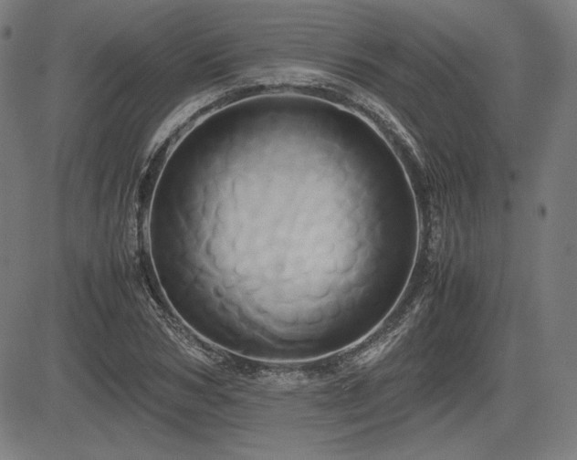 X0000083620978200702121136