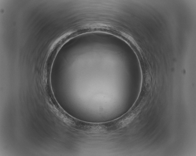 X0000083620979200702121136