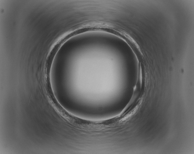 X0000083620981200702121136