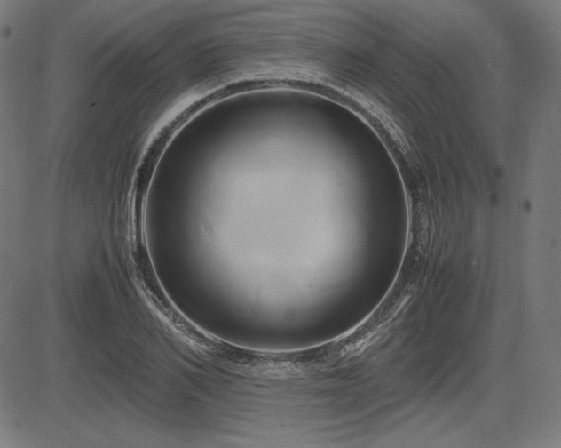 X0000083620982200702121136