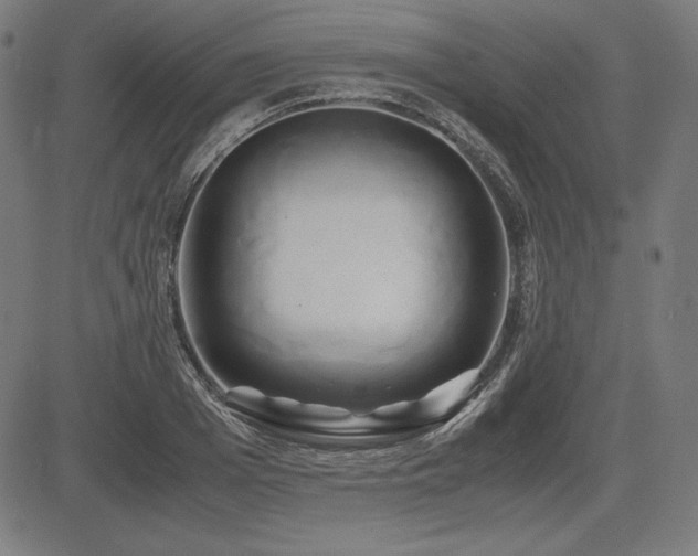 X0000083620985200702121136