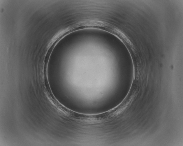 X0000083620986200702121136