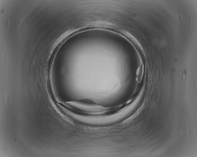 X0000083620989200702121136