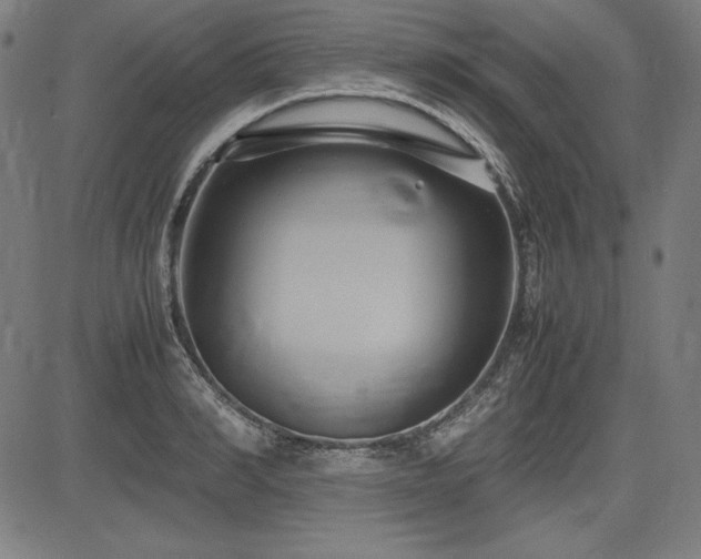 X0000083620990200702121136
