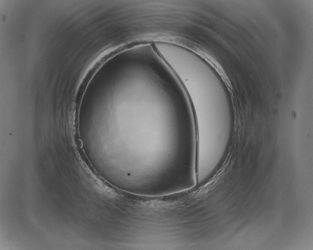X0000083620992200702121136