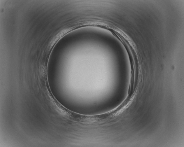 X0000083620993200702121136