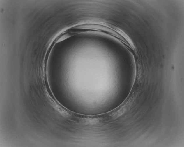 X0000083620996200702121136