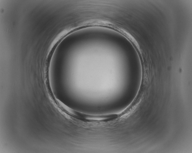 X0000083620997200702121136
