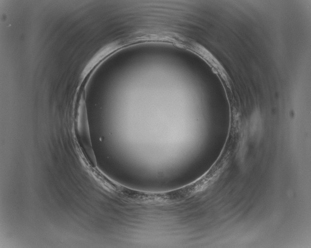 X0000083621002200702121136