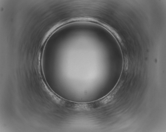 X0000083621006200702121136