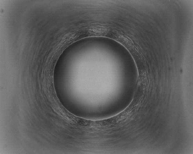 X0000083621009200702121135