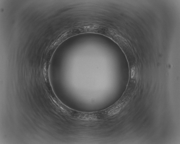 X0000083621011200702121135