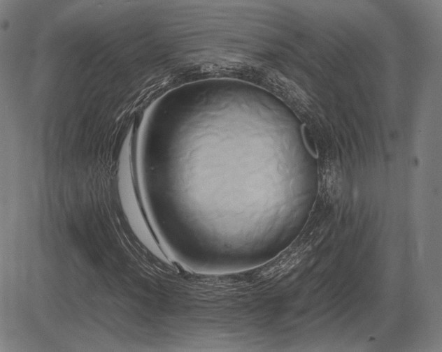 X0000083621012200702121135
