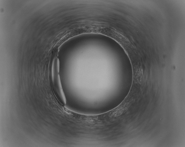 X0000083621013200702121135