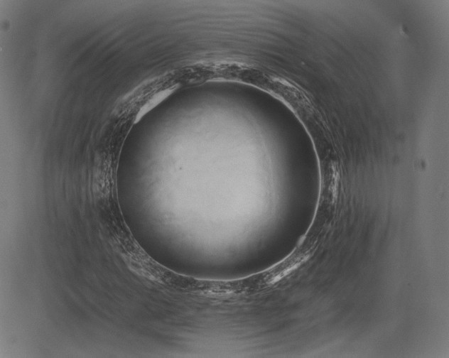 X0000083621014200702121135