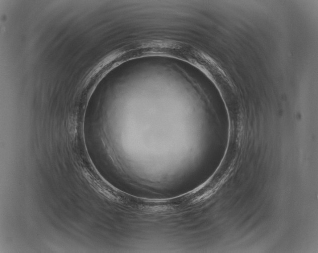 X0000083621017200702121135