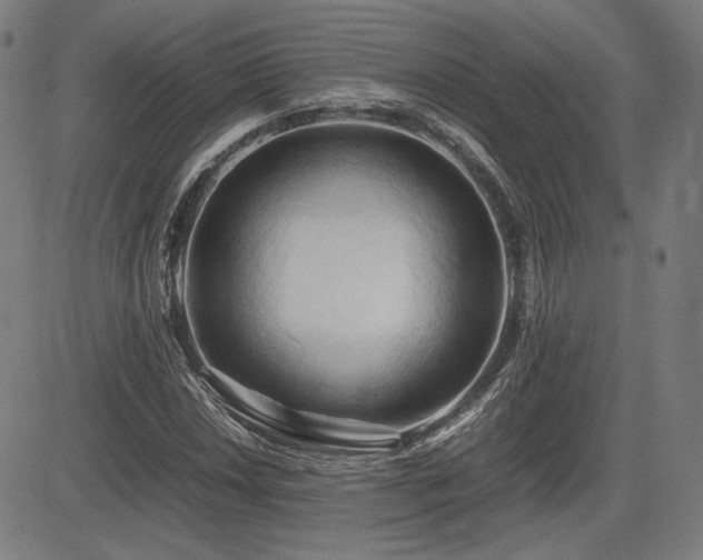 X0000083621018200702121135