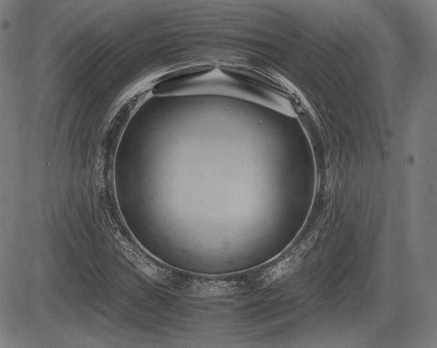 X0000083621019200702121135
