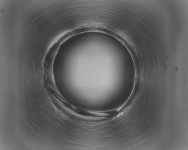 X0000083621022200702121135