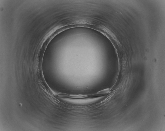 X0000083621023200702121135