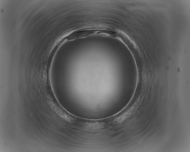 X0000083621025200702121135