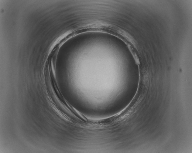 X0000083621026200702121135